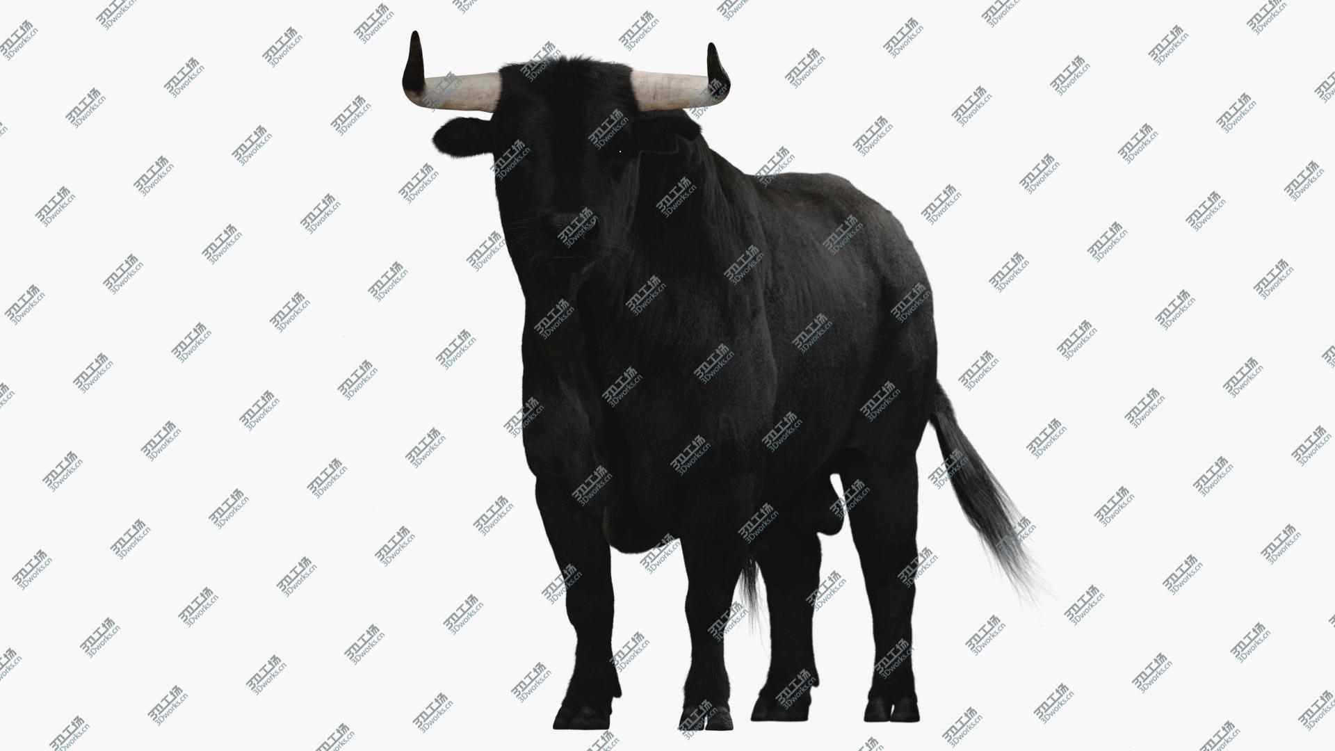 images/goods_img/202104021/3D Bull RIGGED/1.jpg